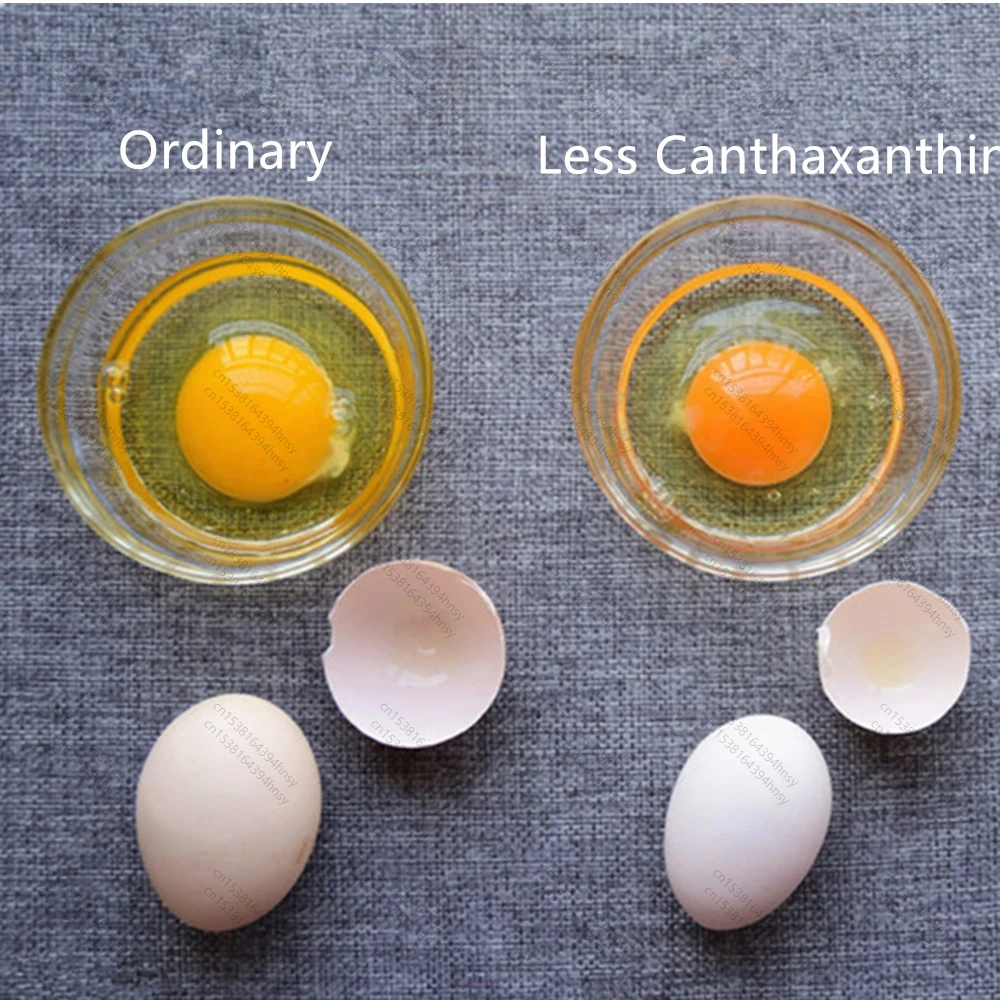 LOLO Polvere rossa di canthaxantina/aphanicina/carofilla di grado alimentare per additivo alimentare Additivo alimentare per animali