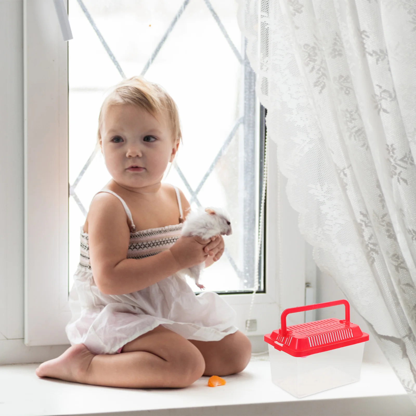 

Portable Fish Tank Transparent Turtle Box for Reptile Habitat Lightweight Compact Design Easy to Clean Pet Transport Container