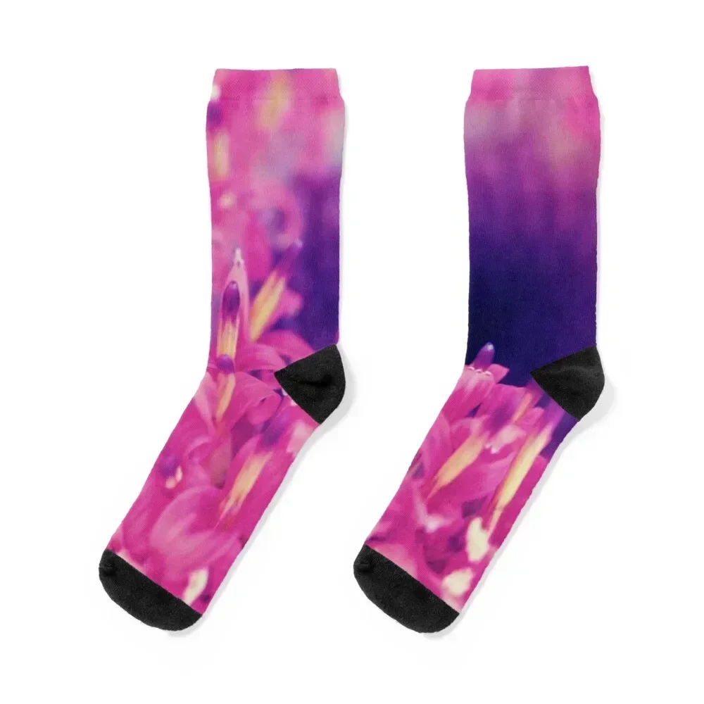 

PINK AND PURPLE Socks sheer floor funny gift anime Men's Socks Women's floral winter sport Mens Socks Women's
