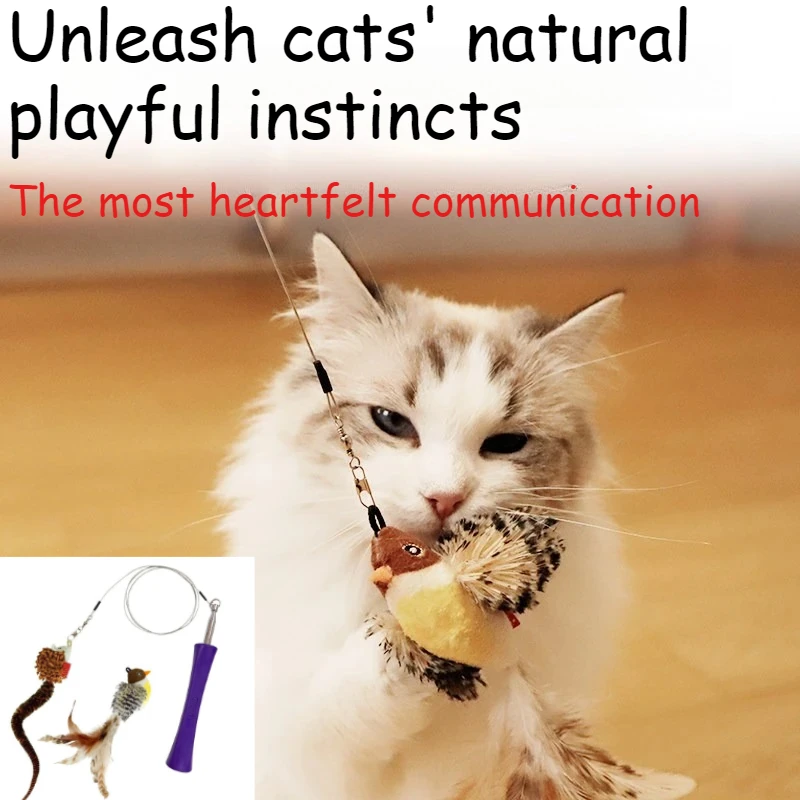 

Six-Section Retractable Stainless Steel Cat Fishing Wand With Two Replacement Heads, Indoor Interactive Toy For Cats