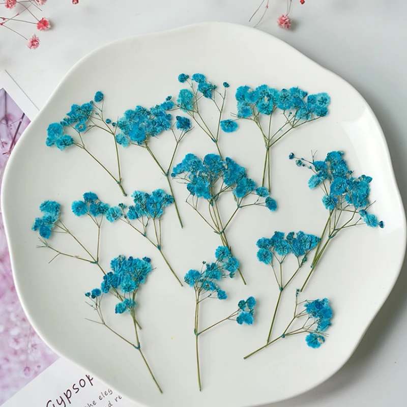 12pcs/5-8cm,New color pressed babysbreath dried flowers branches,DIY bookmarks table lamps nail art beauty cosmetics materials