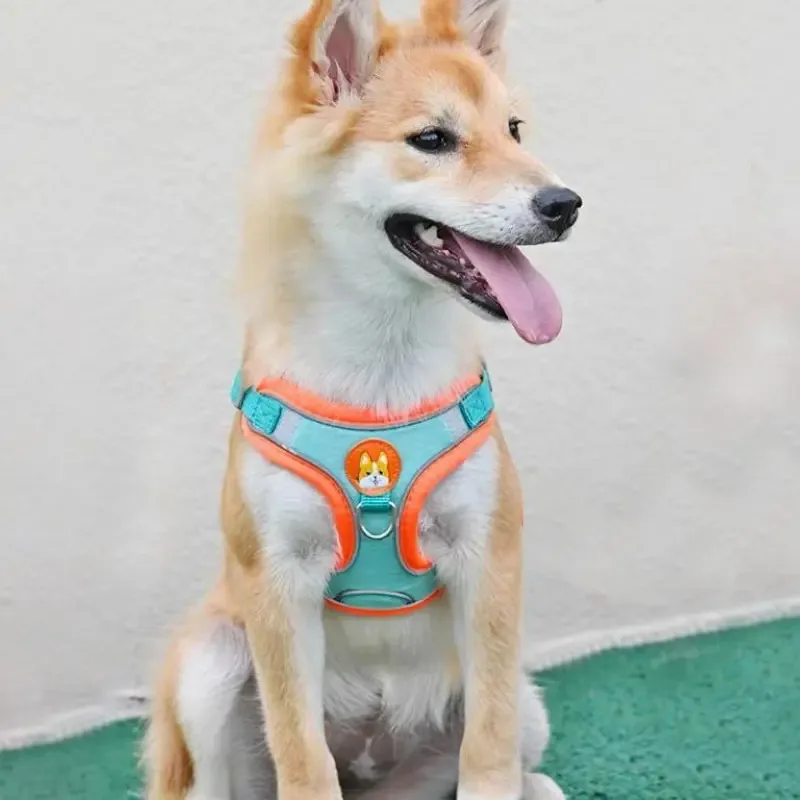 Thumbnail 3 - #17 Dog Leads Ranking List in 2026
