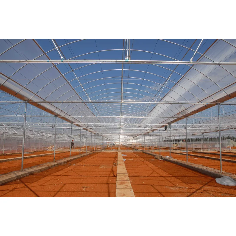 

Customized greenhouseSingle Span Hydroponic Film Greenhouse High Tunnel Multi Span Green House Metal Frame Plastic Prefab Agricu