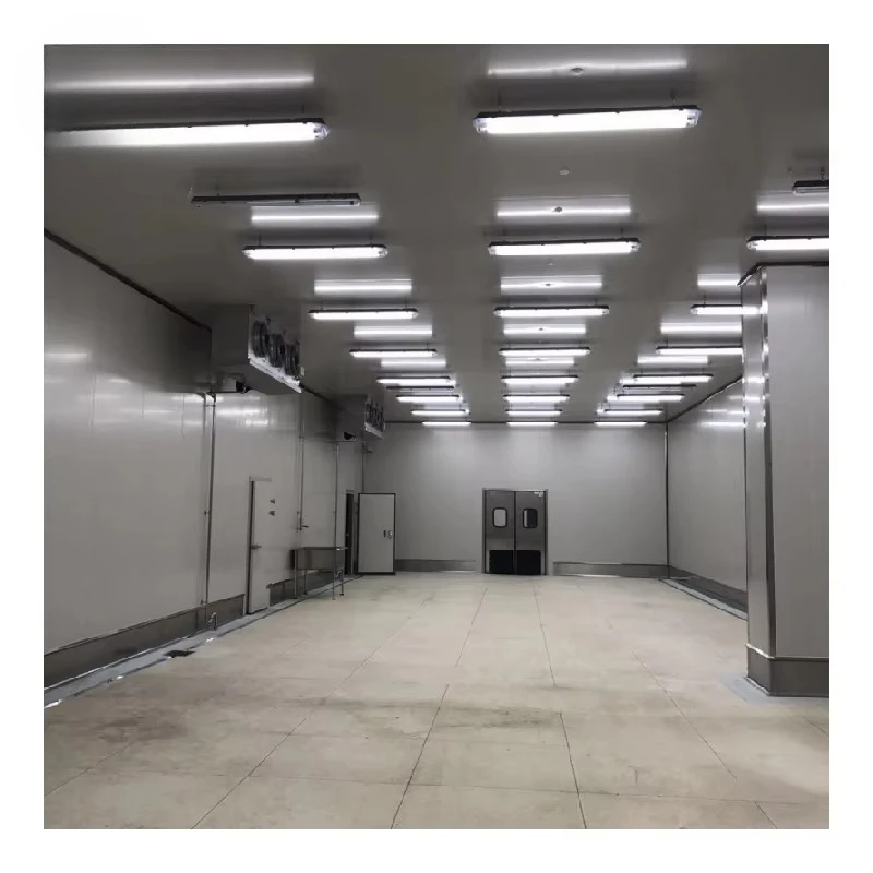 Cold Room Walk In Freezer Storage Large Capacity High Efficiency Customized Freezing Room For Food Processing
