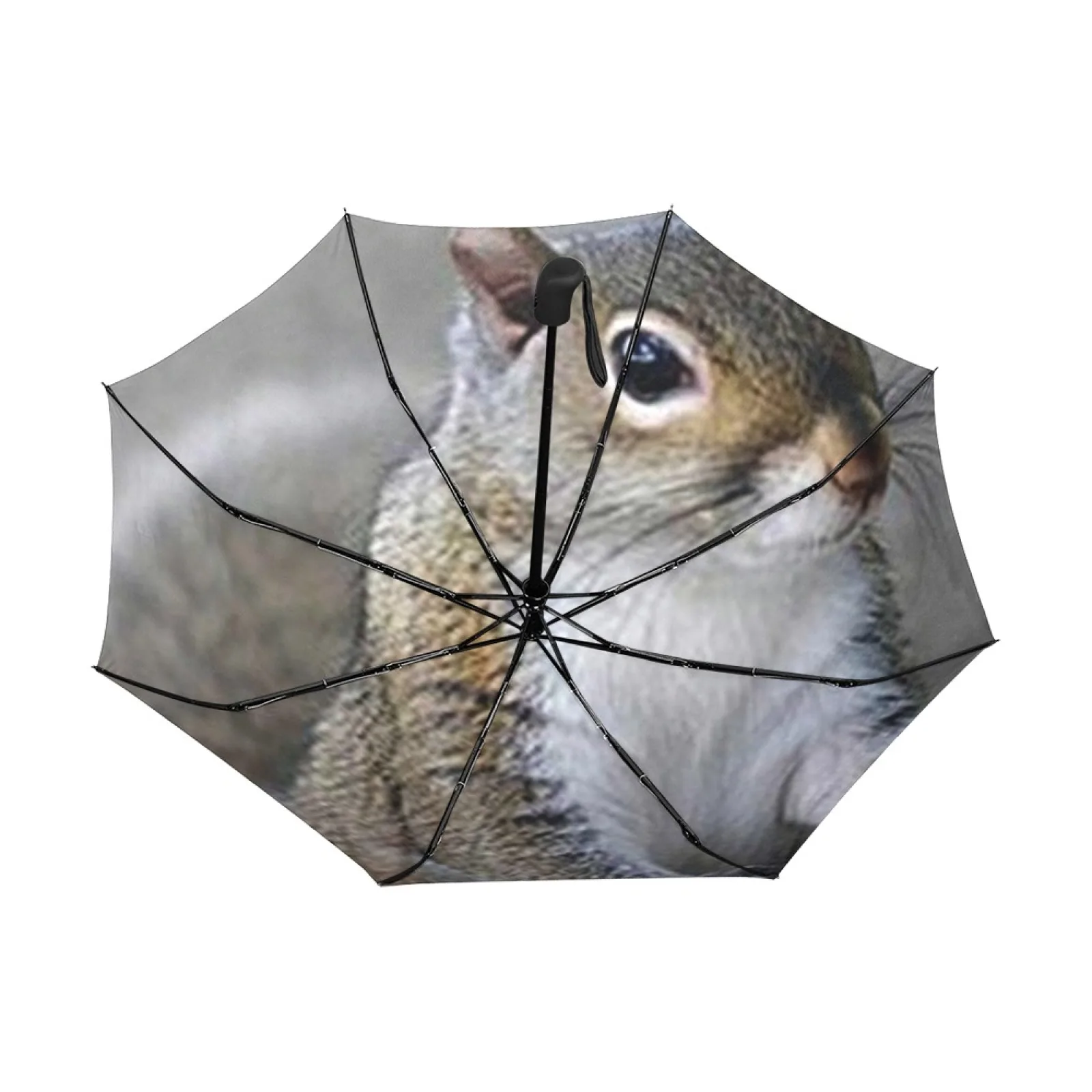 Squirrel Automatic Tri Fold Umbrella Sun Anti-UV Foldable Compact Light Weight Protection (Inside Printing) Travel Umbrella