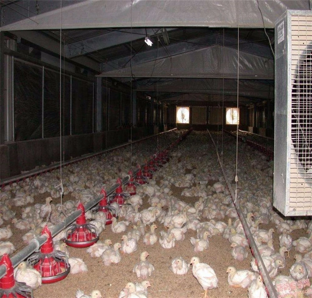 Chicken equipment Animal feed Poultry and fish feed Pelleting machine