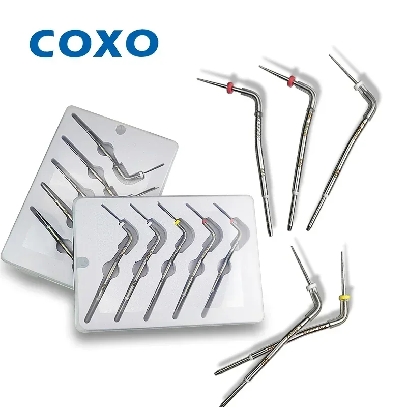

Endodontic Obturation System: COXO Heated Gutta Percha Gun with 5 PCS Tips Kit for Root Canal Filling