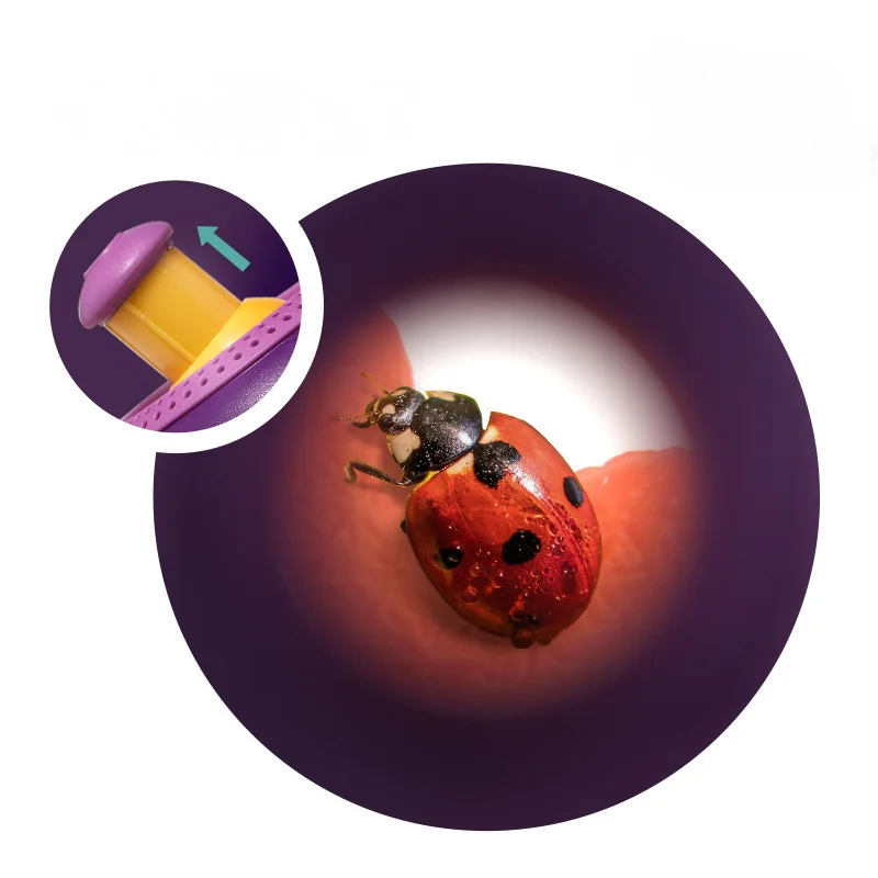 Balde de observação multifuncional para crianças, brinquedos de exploração ao ar livre, experimento de educação pré-escolar, 5X
