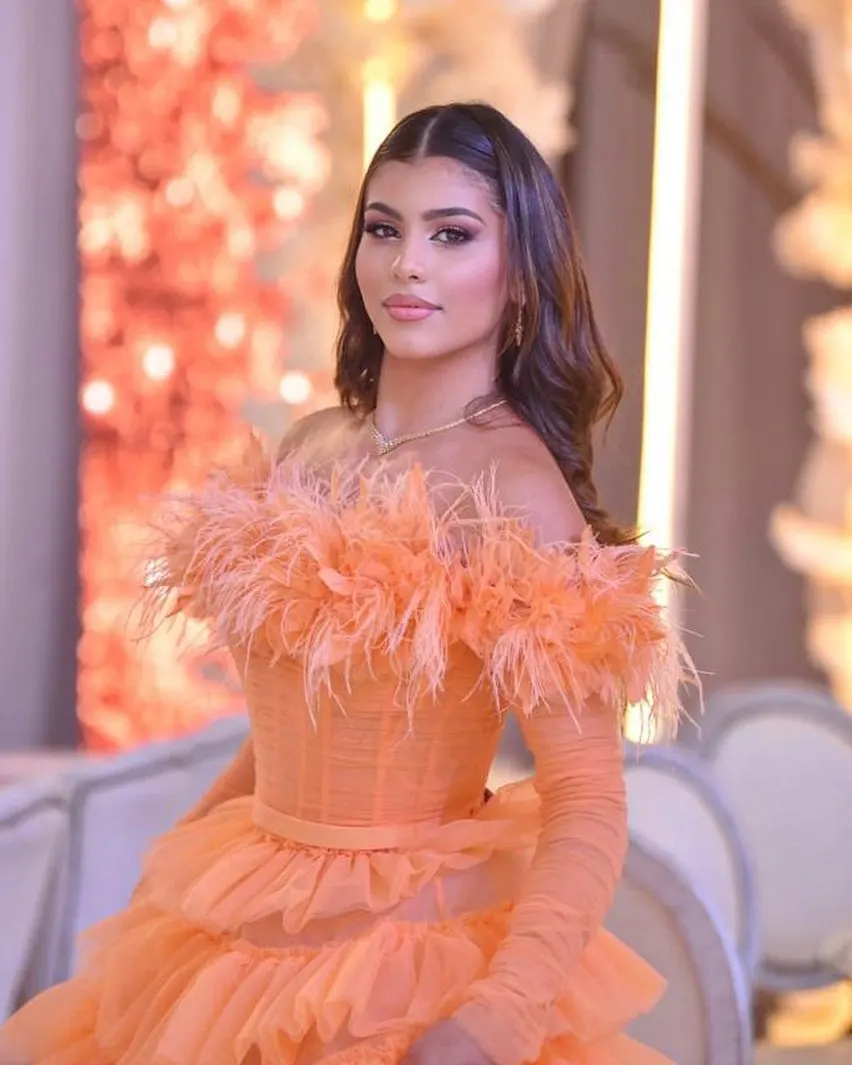 Orange Layered Tulle Long Evening Dresses See Thru Full Sleeves Feather A-line Tutu Tulle Formal Party Dress Middle East Gowns