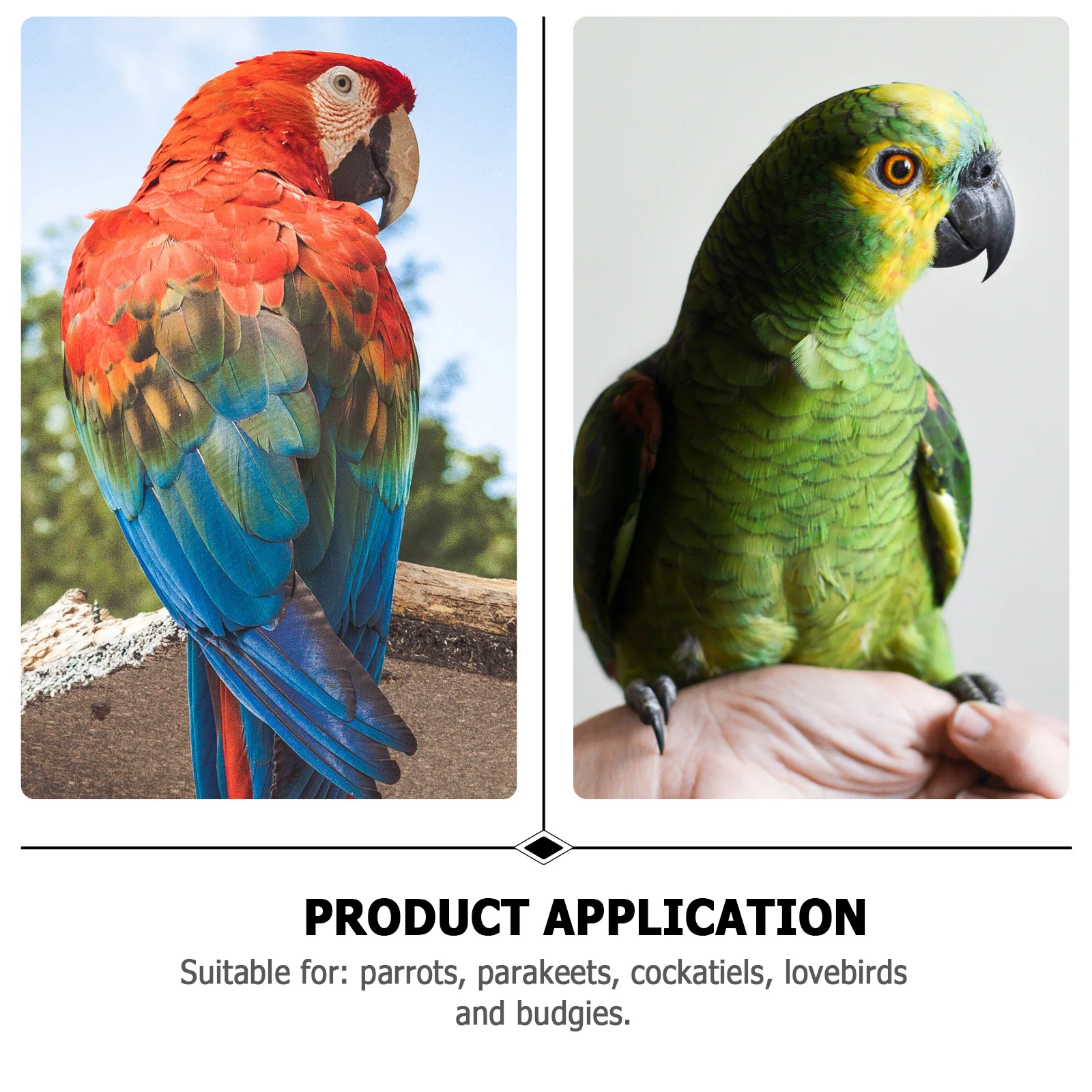 

2Pcs Parrot Foot Rings Anti Escape Stainless Steel Durable Bird Leg Buckles Pet Supplies Parrot Foot Rings Anti Escape Buckles