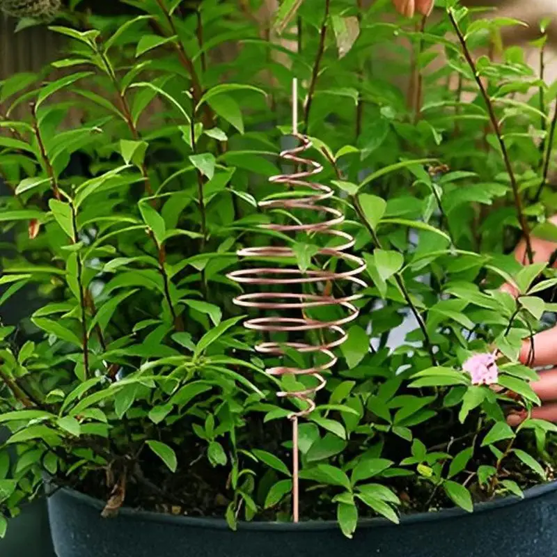 Plantilla de bobinado de bobina de alambre de cobre para jardinería, cono, mejora el crecimiento y la vitalidad de las plantas, herramientas de bobina de fijación