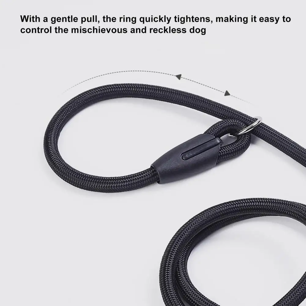 Dog Leash Strong Slip Lead Adjustable Loop High-density Nylon Braided Rope Training Leash for Large Medium Small Dogs