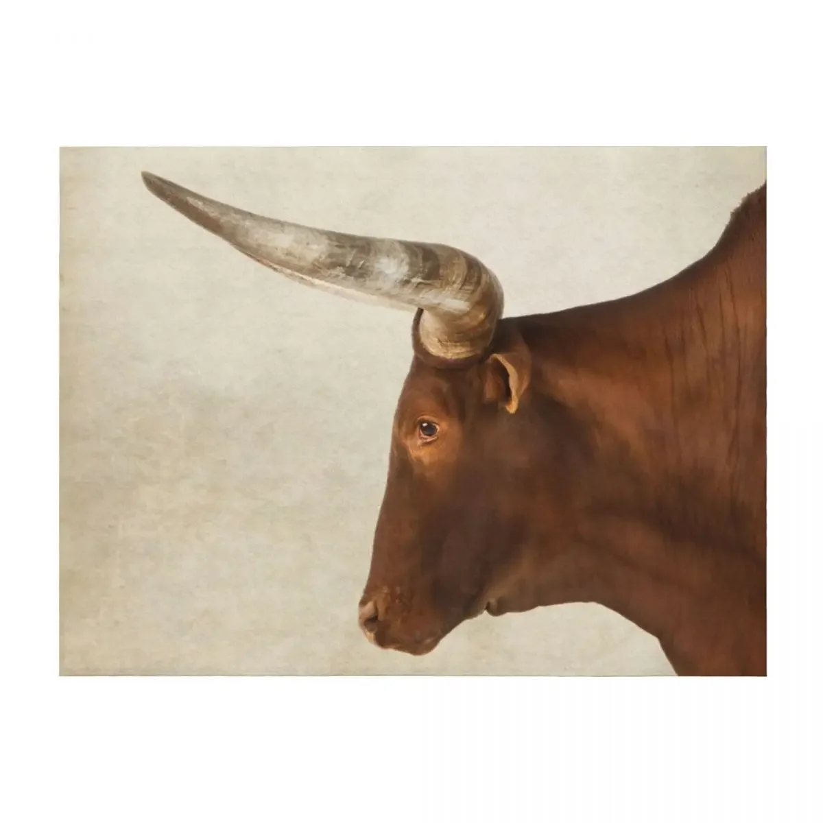 

Texas Longhorn Art, Farm Animal Portrait Throw Blanket cosplay anime Hairy Large blankets ands Blankets