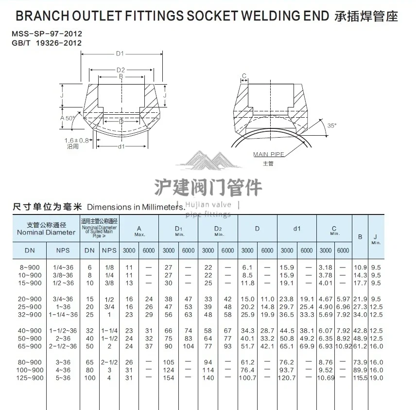 Stainless steel 304316L socket welding branch pipe stand DN socket welding branch pipe stand 3000LB forged SP-97