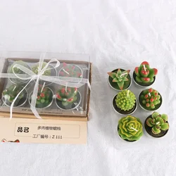 6 Creative Scented Candles in Sets Mini Cactus Meaty Birthday Candle Personalized Instagram Style Smokeless Hand Gift Candle