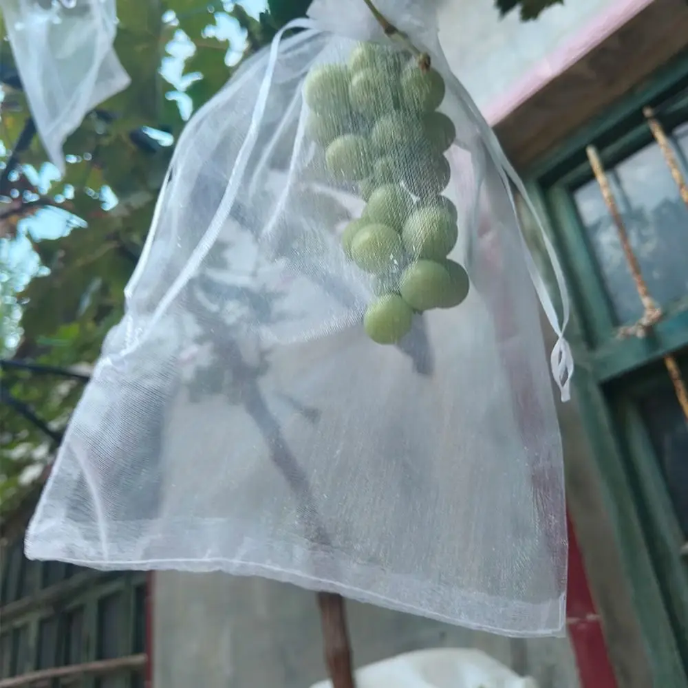100pcs Mesh Grapes Fruit Grow Bags White Breathable Plant Grow Bag Generic Grape Protection Cover For Pest Control Anti-Bird