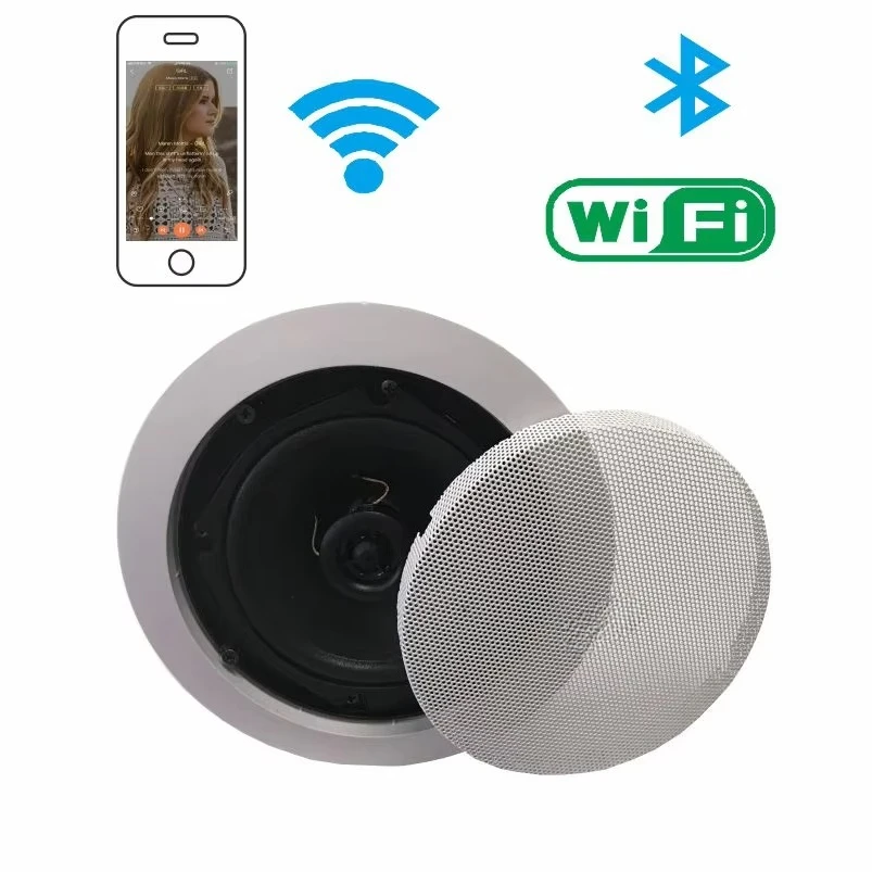 High-quality Active Ceiling Speaker 6inch 8inch 10W-20W-30W-40W-60W Home Theater System Wireless WIFI  Ceiling Speaker