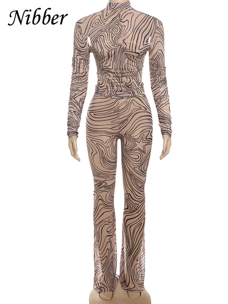 Nibber Mesh Zebra Print Women 2 Piece Set Sexy Coquette Thin Autumn Full Sleeve Comfy t-Shirts+Pants Matching Midnight Clubwear