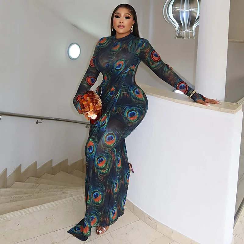 فستان Doyerl مطبوع شبكي شفاف بأكمام طويلة فستان نسائي لأعياد الميلاد المشاهير غمد مرن للحفلات الراقصة والنوادي فساتين ماكسي فيستدو