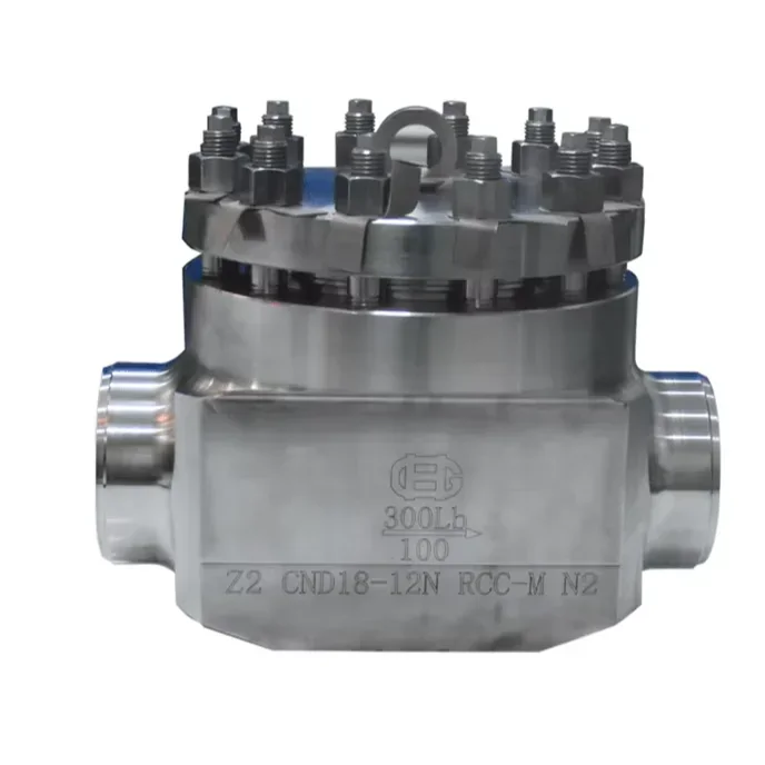 valvola di ritegno anticorrosione ad alta pressione e alta temperatura