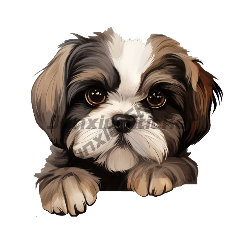 

The Shih Tzu Dog Watches You Car Decals Bumper Window Stickers Car Accessories Waterproof Vinyl Material