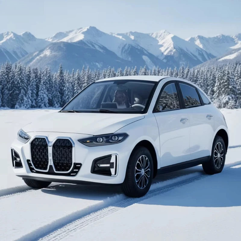 Electric vehicles, lithium battery vehicles, smart new energy vehicles, adult use