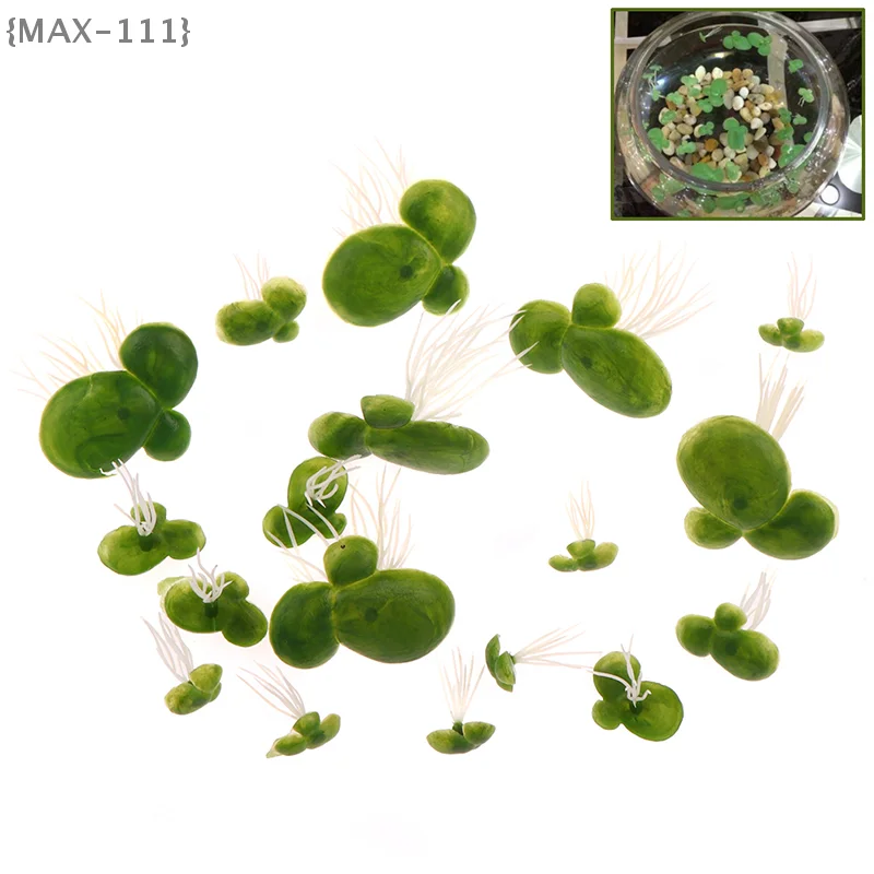 【F2-Max111】18Pcs/Se…