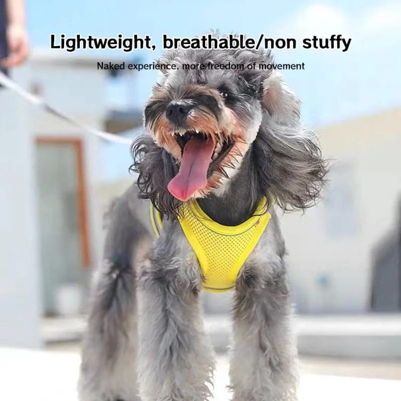 حزام سترة عاكسة متين وقابل للتعديل للكلاب والمتوسطة والكبيرة (S) - مثالي للمشي والتدريب اليومي