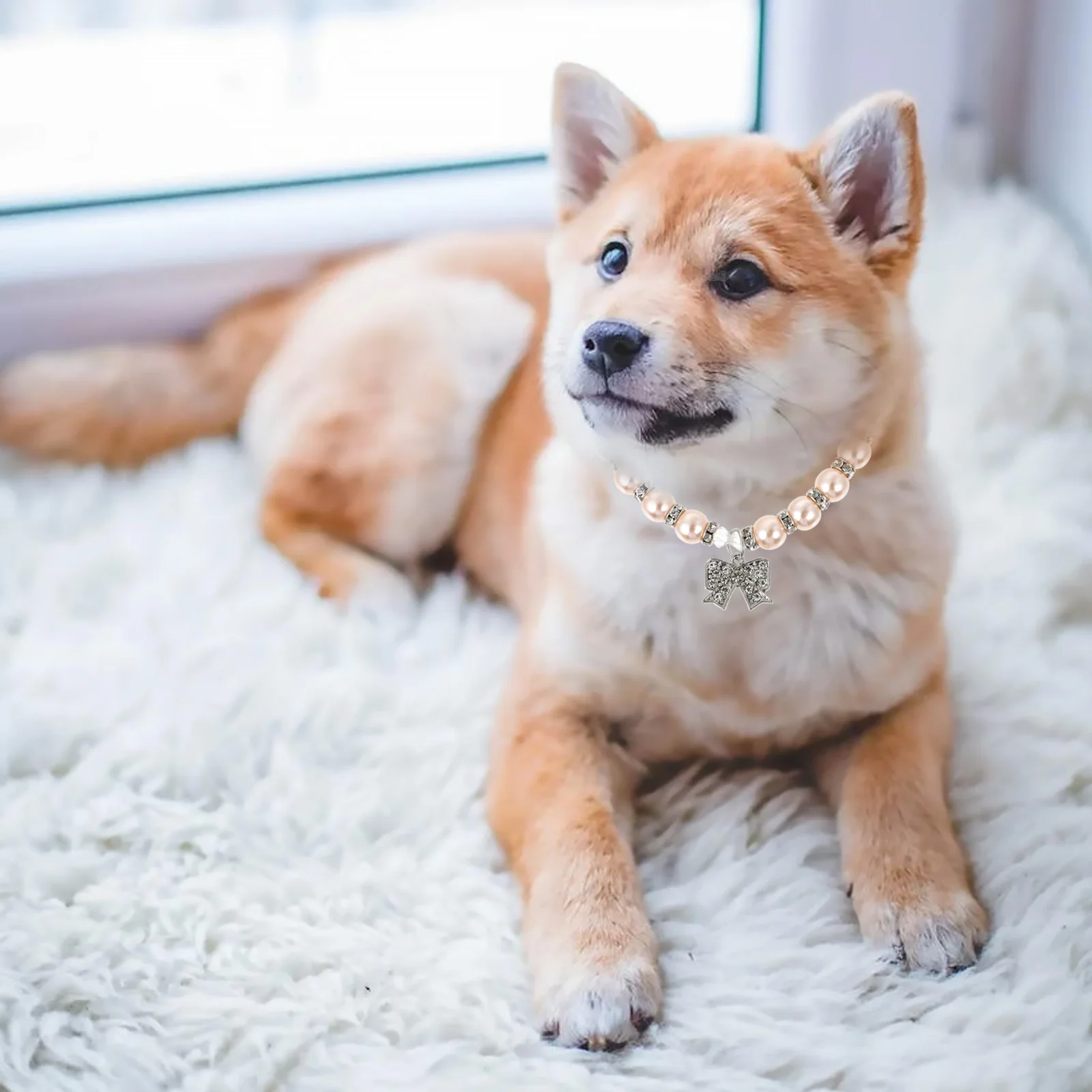 

Pearls Pet Necklace Adjustable Bowknot Pendant Chic Collar Elegant Cat Dog Puppy Jewelry Charming Look Dog Pearls Necklace
