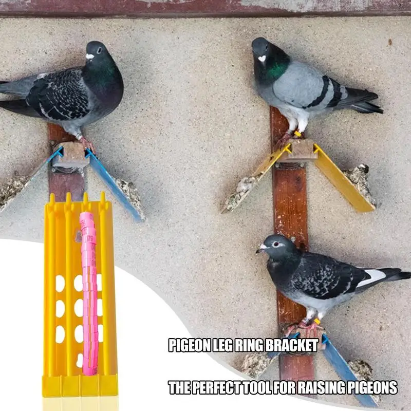 Bird Foot Ring Stand Bird Leg Band Holder Stand Label Holders Training Identify Band Rack Sturdy Racing Bird Ring Storage Rack