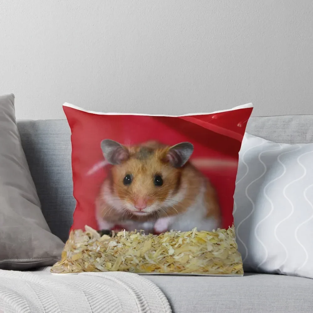 Hamster Pillow Throw Pillow Sitting Cushion christmas pillow case Pillowcases Cushion Covers Sofa