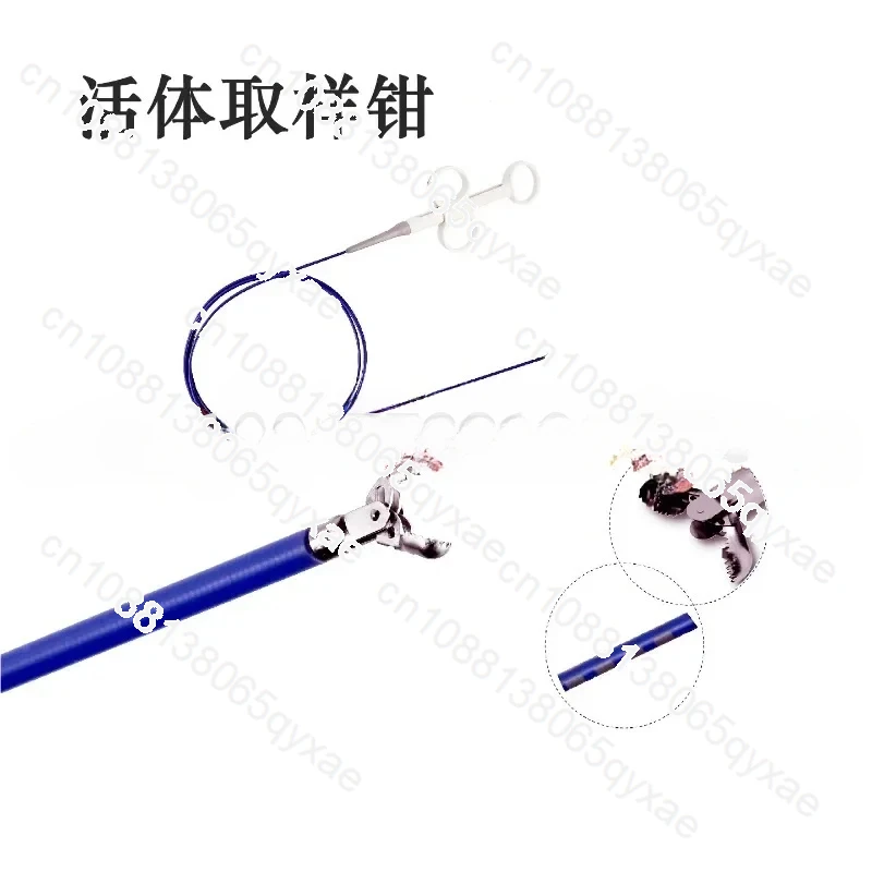 Biopsy forceps Endoscope Nasogastric endoscopy Bladder bronchoscopy Disposable live sampling forceps