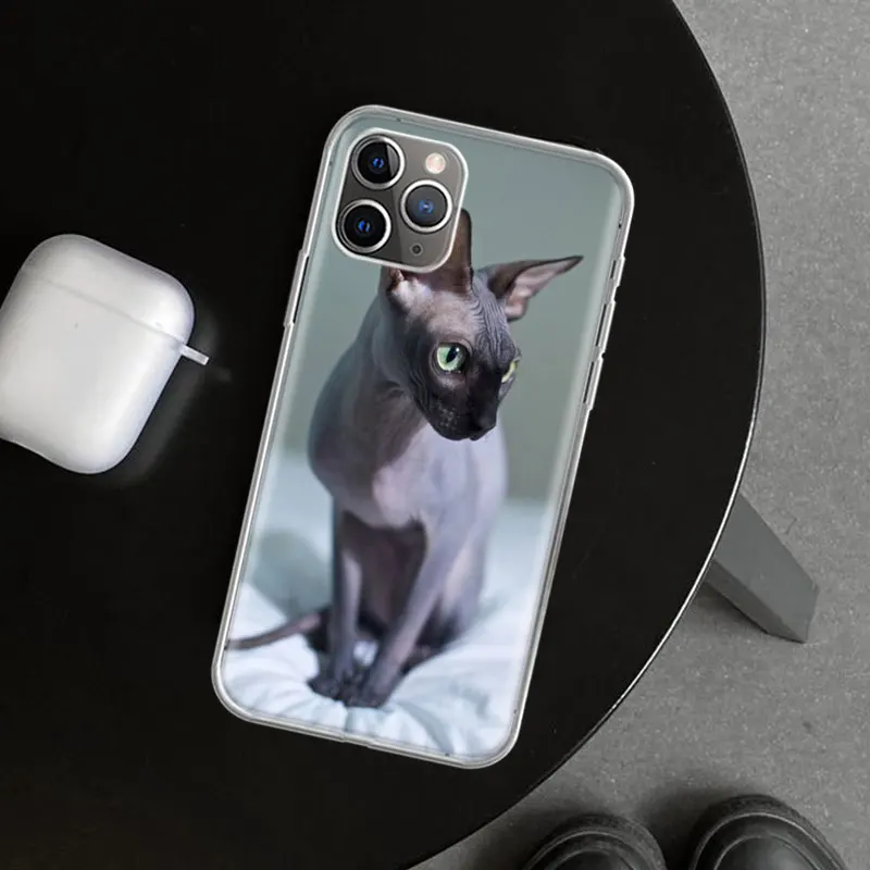 Sphinx Cat Phone Case Cover For iPhone 11 12 13 14 15 16 Pro Max Apple X XS XR 7 Plus 8 + Art Customized Fundas 14 13 11 Pro 12