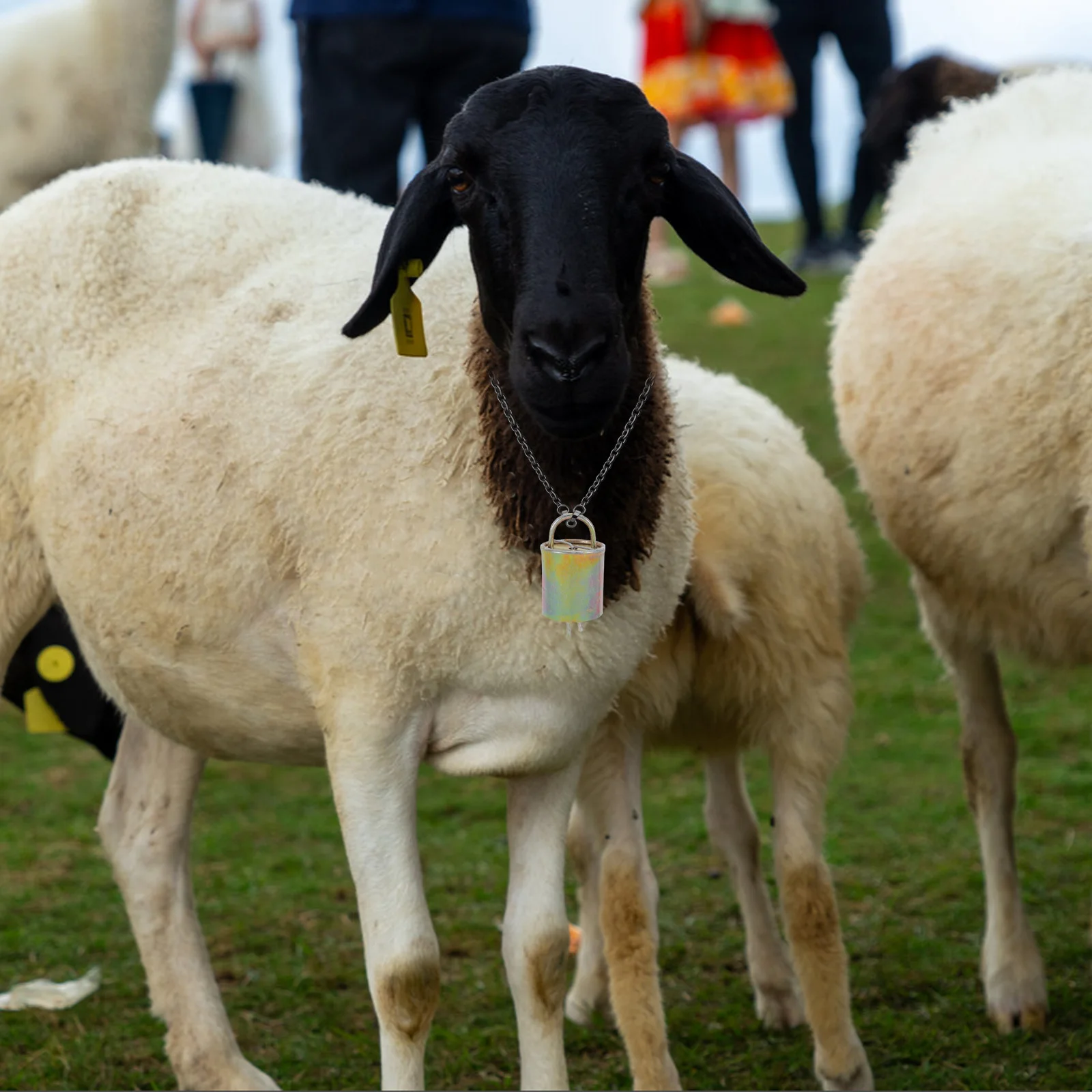 

8pcs Iron Cow Bells For Goats Heavy Duty Metal Animal Bell Loud Rustic Farming Supplies Anti-Lost Pasture Tracking Bells For