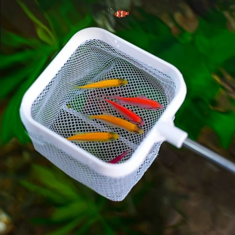 Red de pesca cuadrada para acuario, equipo de pesca extensible de mango largo para atrapar peces, camarones, accesorios de limpieza para pecera