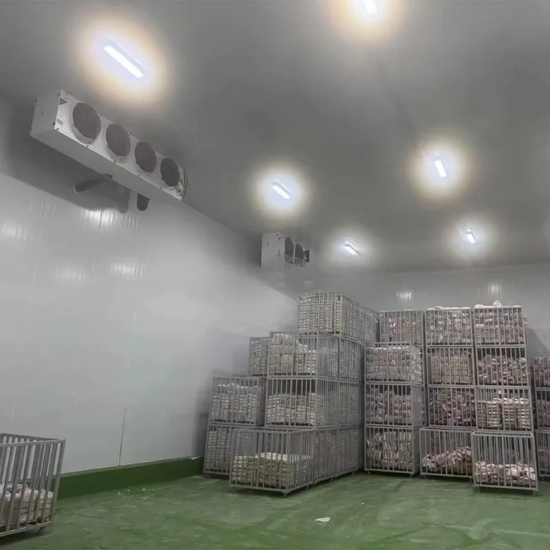 High Efficiency Commercial Cool Room & Freezer Room Equipment for Big Projects Cold Storage Freezers