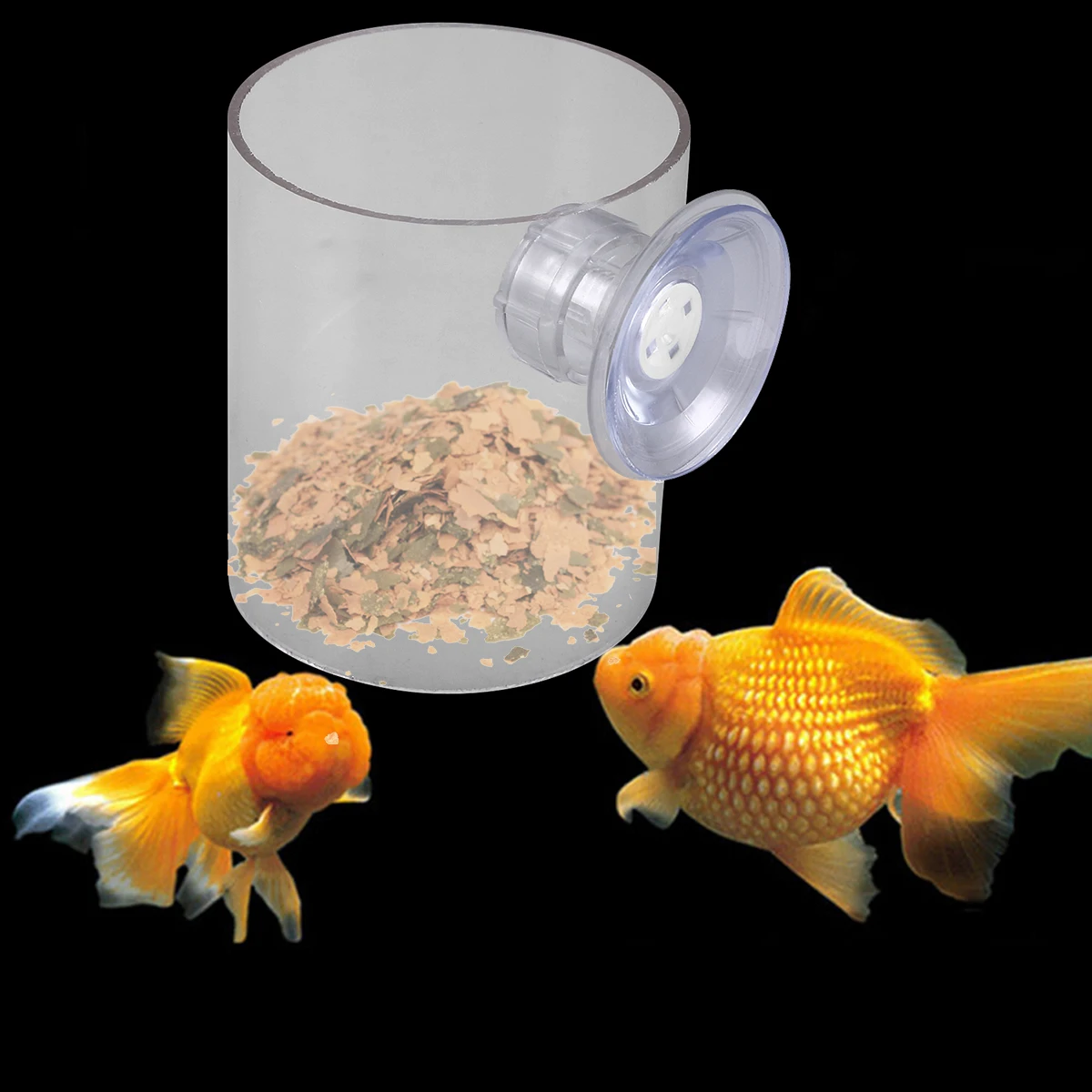 

Aquarium Fish Feed Circle Tank Accessories Floating Feeding Ring Feeder Aquariums