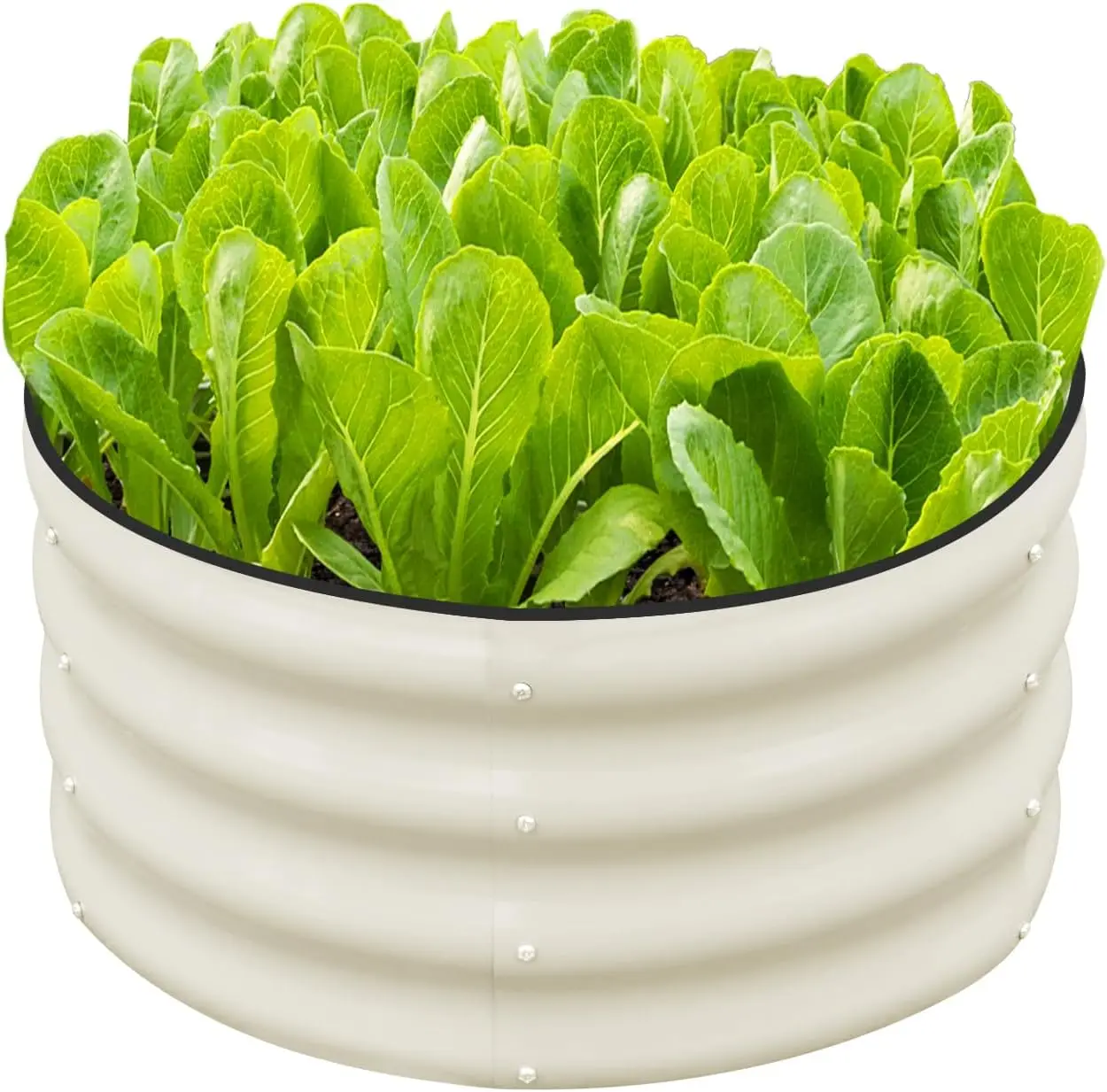 

2x2x1ft Round Galvanized Raised Garden Bed Kit, Metal Planter Box for Outdoor Planting Vegetables, White