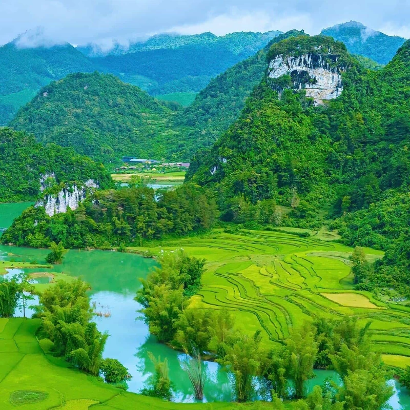 

HGLRC M80 PRO M80PRO GPS QMC5883 Компас с ГЛОНАСС GLILEO QZSS SBAS BDS Формат приема 5 В Мощность для FPV RC Racing Drone