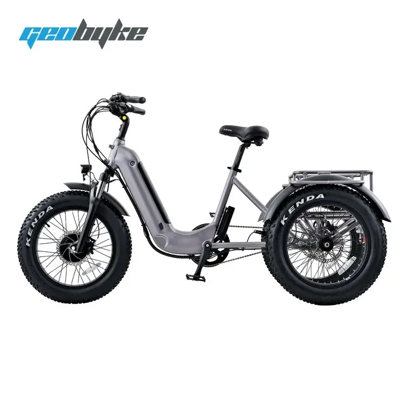 2024 Electric Tricycle Adults OEM Customize Battery Powered Electric Trike Three Wheels