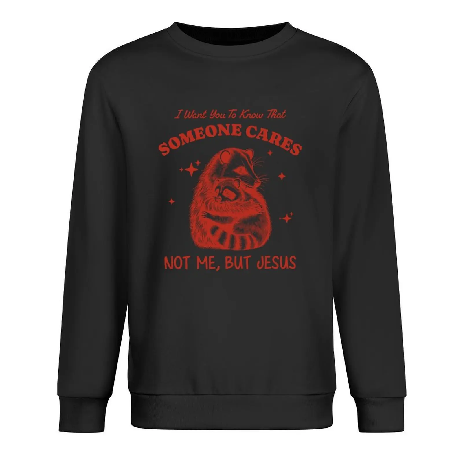 

I Want You To Know That Someone Cares Not Me But Jesus, Not Me But Jesus, Funny Christian Raccoon Meme Pullover