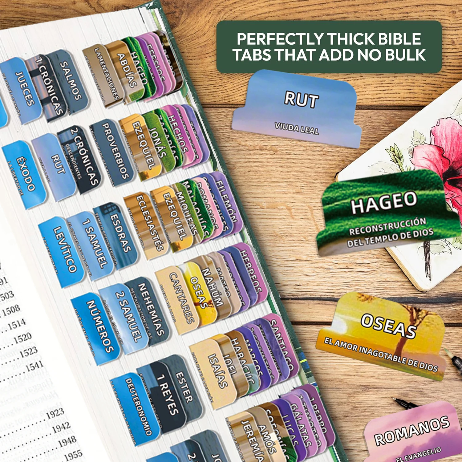 علامات تبويب الكتاب المقدس الإسبانية، محتوى الكتاب المقدس باللغة الإسبانية مع مجسمات كتاب مغذية الروح، علامات تبويب اسم الكتاب الإسباني الجديد والقديم