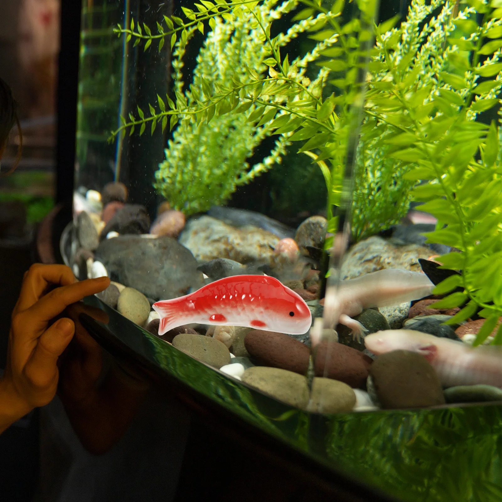 

Fish Tank Floating Decor Ceramic Floating Fish Ornament Realistic Fine Workmanship Captivating Visual Effect Aquarium