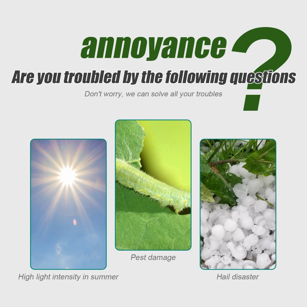 Insect Net Sturdy For Protect Plant Fruits Citrus Flower PE Material Drawstring White Insect-resistant Bags