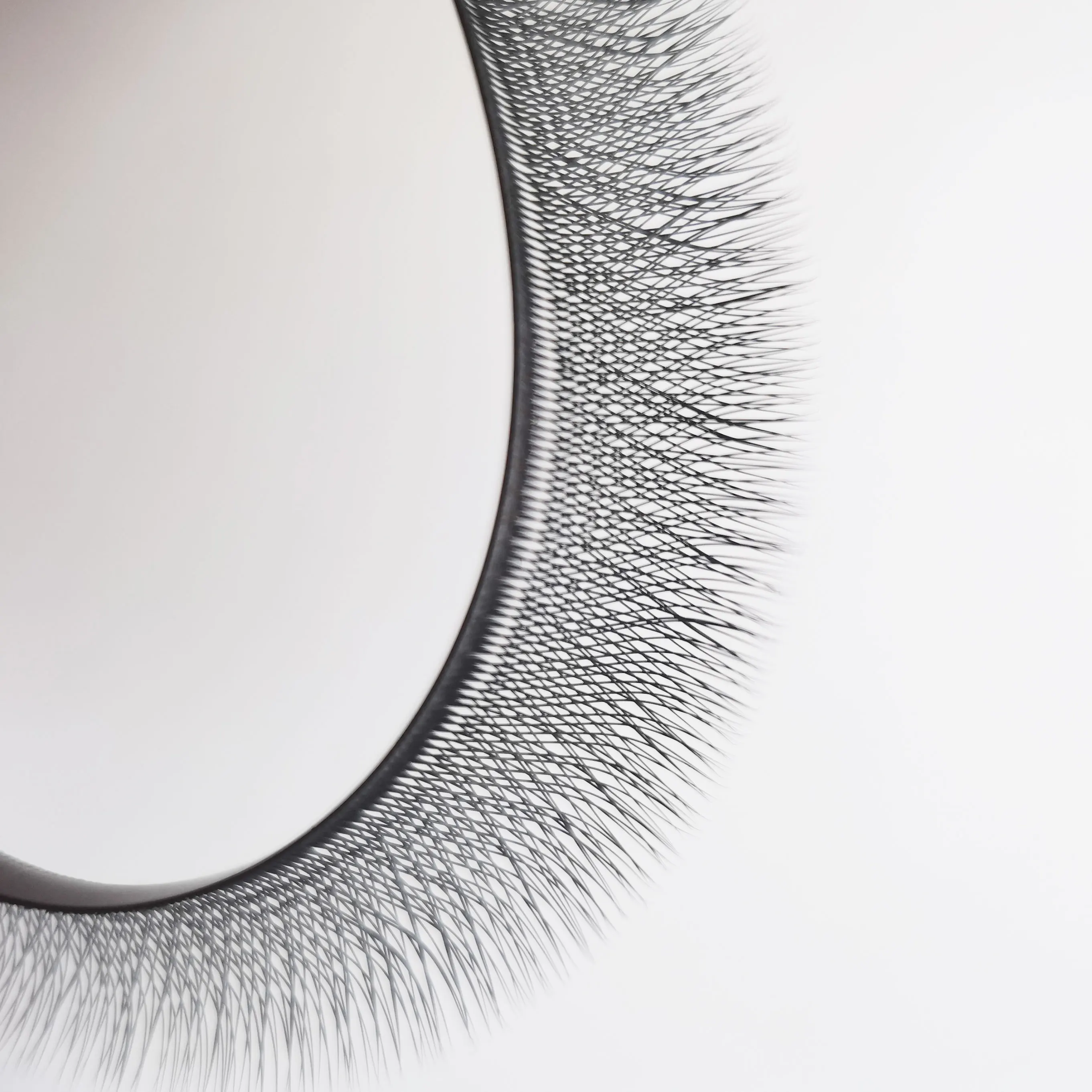 WeenWeave 3D W Shape Eyelash Extension 6mm 7mm C/D/L/M Curl Premade Volume Fans W-shaped Clover Natural Soft False Lashes