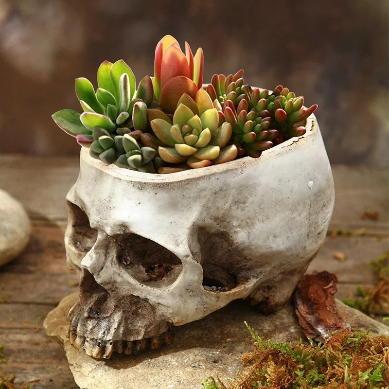 Gothic Vintage Skull Planter,Resin Rustic Decorative Indoor/Outdoor Use for Succulents, Cacti, Home & Garden Decor, Indoor Plant