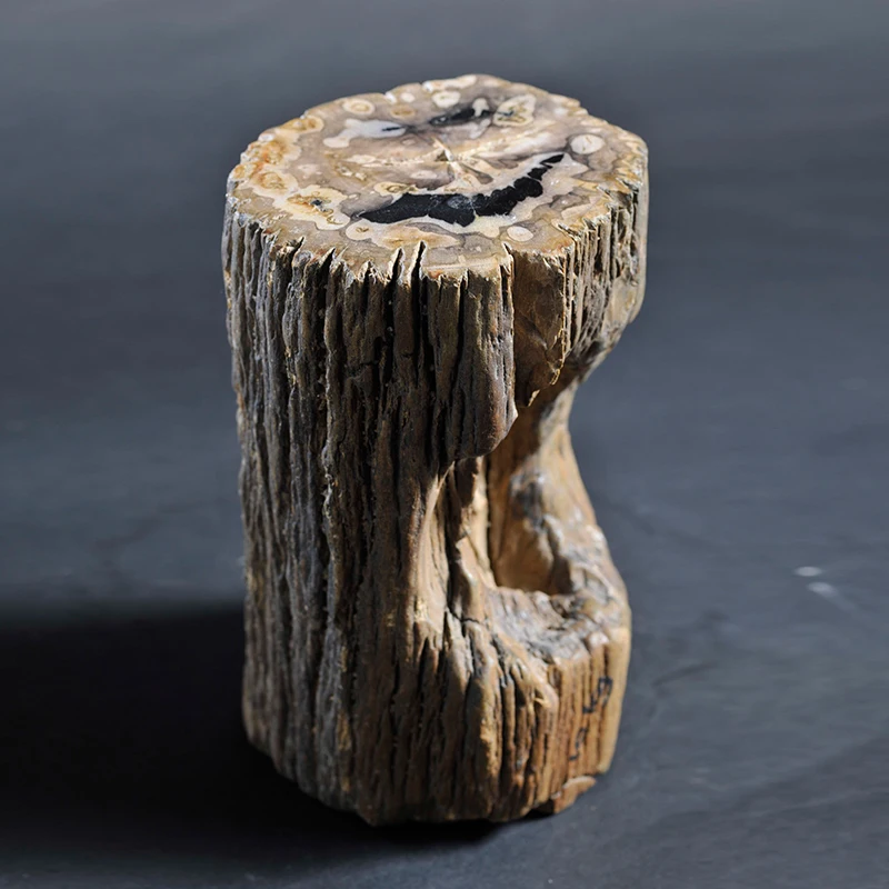 Landscaping courtyard wood fossil small stone pier micro landscape new Chinese desktop ornaments