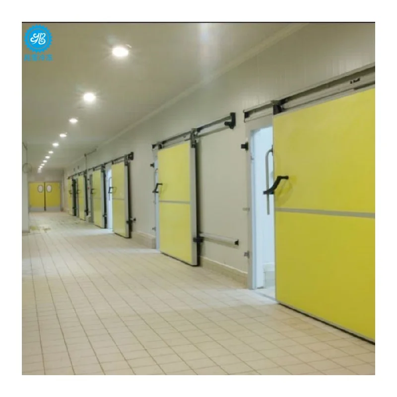 Commercial Solar Cold Room Walk in Freezer Cooler Chambre Froide for Meat Fruits Vegetables Fish Storage Energy Saving Design
