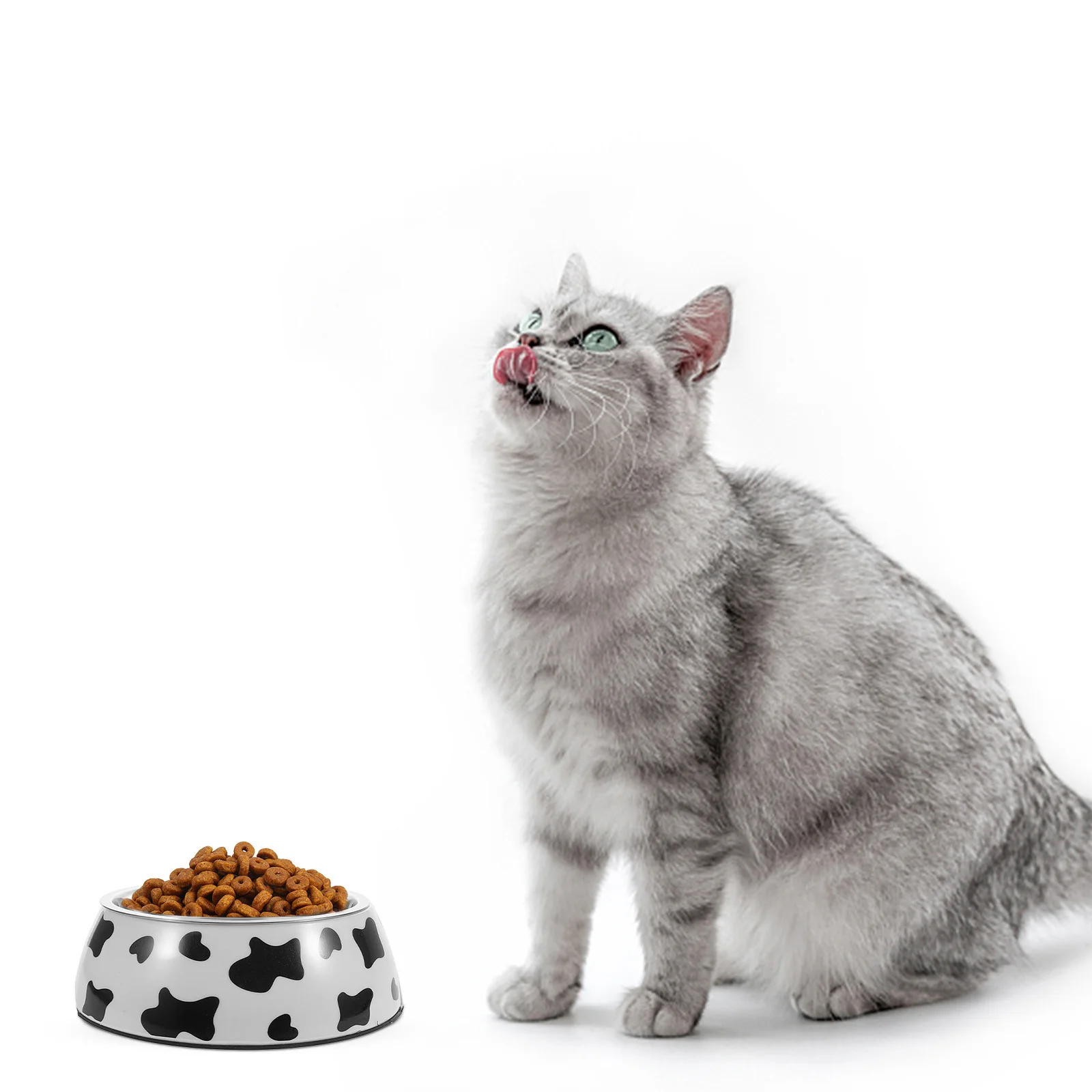 

Dual Stainless Steel Dog Bowl Cow Pattern Non-Slip Base Rust Resistant Pet Feeder for Dry Kibble Wet Food Water Puppies Cats