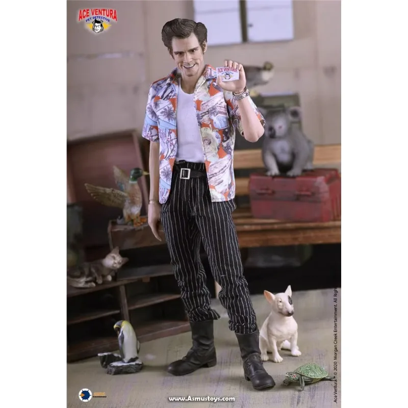 Goods in Stock 100% Original Asmus Toys ACE01 Jim Carrey 1/6 Authentic Movie Character Model Art Collection Toy Gift